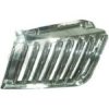  5881941 Radiator Grille